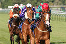 Nottingham Races (21 May 19)