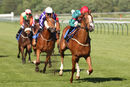 Race 7 - Benny And The Jets (9)