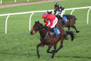 Race 7 - Bennys Bridge (9)