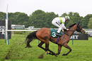 Race 7 - Birdcage Walk (8)