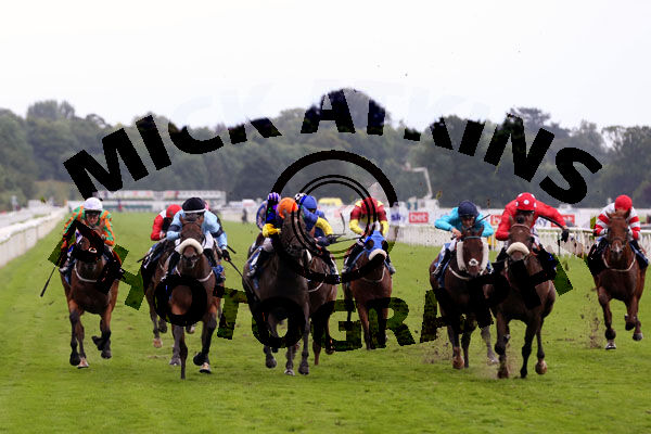 Race 7 - Blackrod (1)