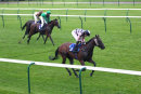 Race 7 - Bombero (1)