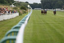 Race 7 - Boogie Time (2)