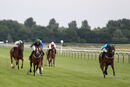 Race 7 - Boogie Time (5)