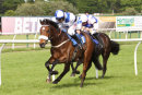 Race 7 - Brecon Hill (5)