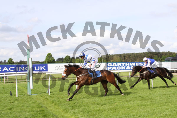 Race 7 - Brecon Hill (8)