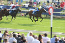 Race 7 - Byrons Choice (3)
