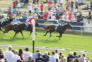 Race 7 - Byrons Choice (4)