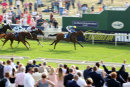 Race 7 - Byrons Choice (6)