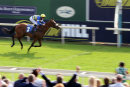 Race 7 - Byrons Choice (7)