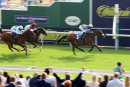 Race 7 - Byrons Choice (8)