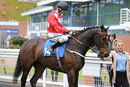 Race 7 - Cardano (2)