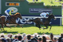Race 7 - Carnwennan (4)