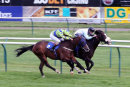Race 7 - Carnwennan (7)