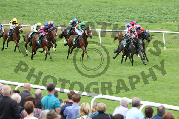 Race 7 - Che Bella (3)