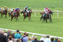 Race 7 - Che Bella (3)