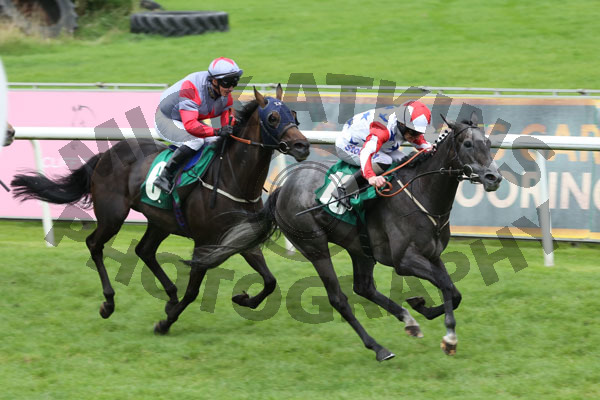 Race 7 - Che Bella (5)