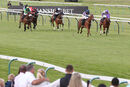 Race 7 - Cherry Cola (2)