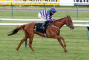 Race 7 - Cherry Cola (8)