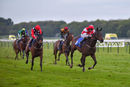 Race 7 - Classic Charm (6)