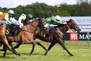 Race 7 - Cliffcake (14)