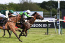 Race 7 - Cliffcake (15)