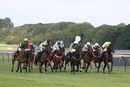 Race 7 - Cliffcake (3)