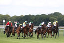 Race 7 - Cliffcake (4)