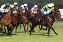 Race 7 - Cliffcake (8)