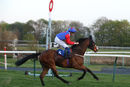 Race 7 - Cosmic Ray (9)