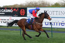 Race 7 - Cosmic Ray (2)