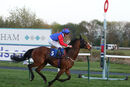 Race 7 - Cosmic Ray (3)