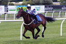 Race 7 - Craigneiche (5)