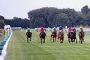 Race 7 - Daffy Jane (2)