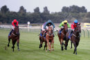 Race 7 - Daffy Jane (4)