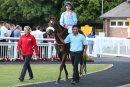 Race 7 - Dalshand (10)