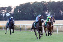 Race 7 - Dalshand (2)