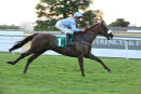 Race 7 - Dalshand (6)