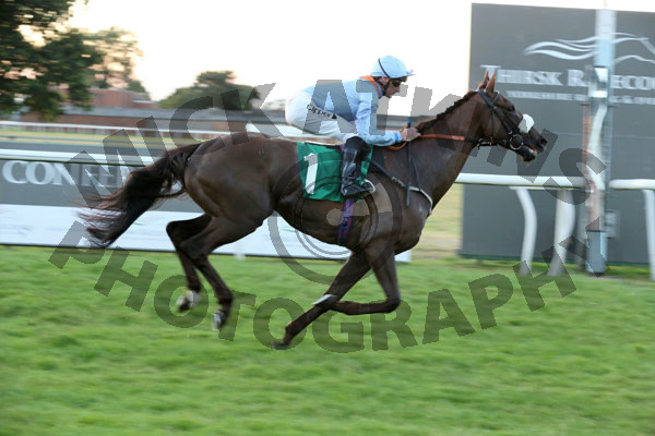 Race 7 - Dalshand (7)