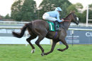 Race 7 - Dalshand (9)