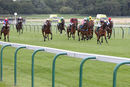 Race 7 - Deinonychus (2)