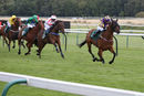 Race 7 - Deinonychus (3)