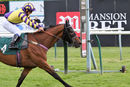 Race 7 - Deinonychus (8)