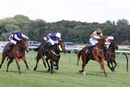 Race 7 - Dont Joke (2)