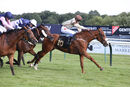 Race 7 - Dont Joke (3)