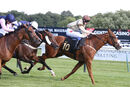 Race 7 - Dont Joke (4)