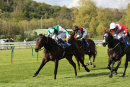 Race 7 - Dotted Swiss (7)