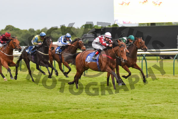 Race 7 - Drop Kick Murphi (7)