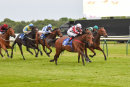 Race 7 - Drop Kick Murphi (7)