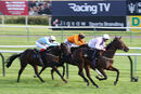 Race 7 - Eagle Court (12)